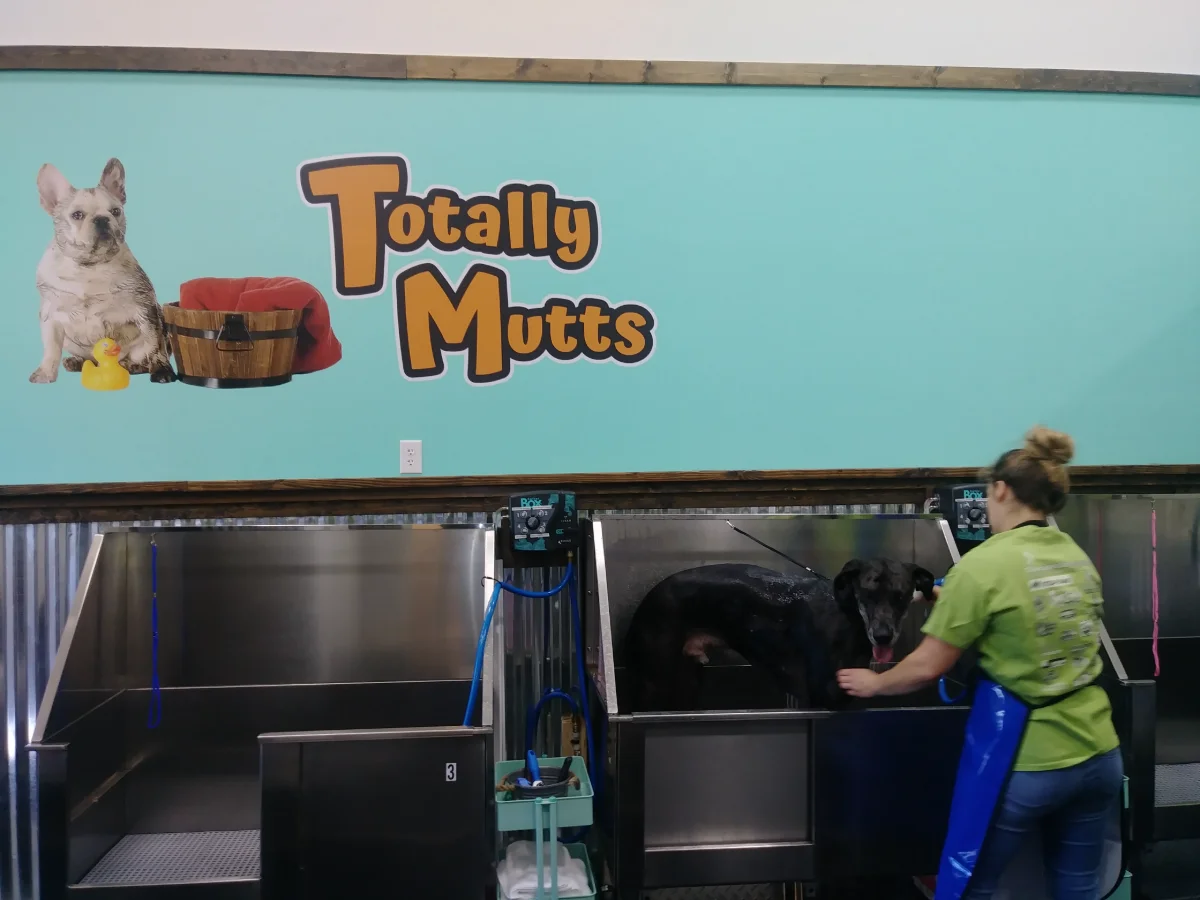 Totally Mutts Self-Service Dog Wash & Professional Grooming of Vancouver photo 2