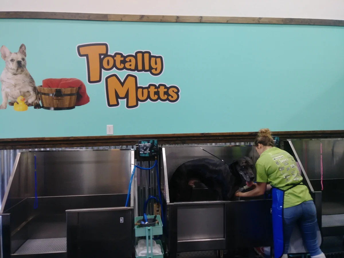 Totally Mutts Self-Service Dog Wash & Professional Grooming of Vancouver photo 3