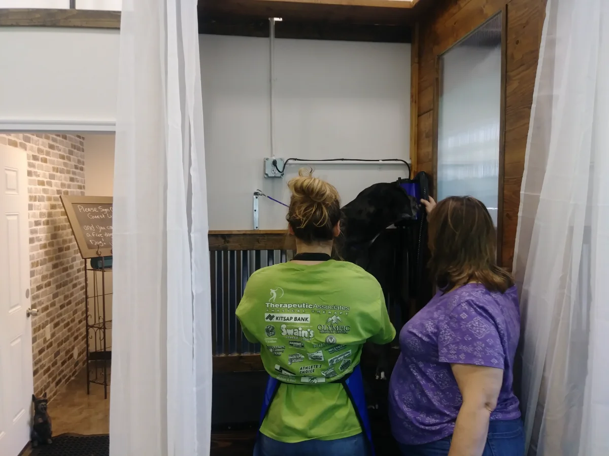 Totally Mutts Self-Service Dog Wash & Professional Grooming of Vancouver photo 5