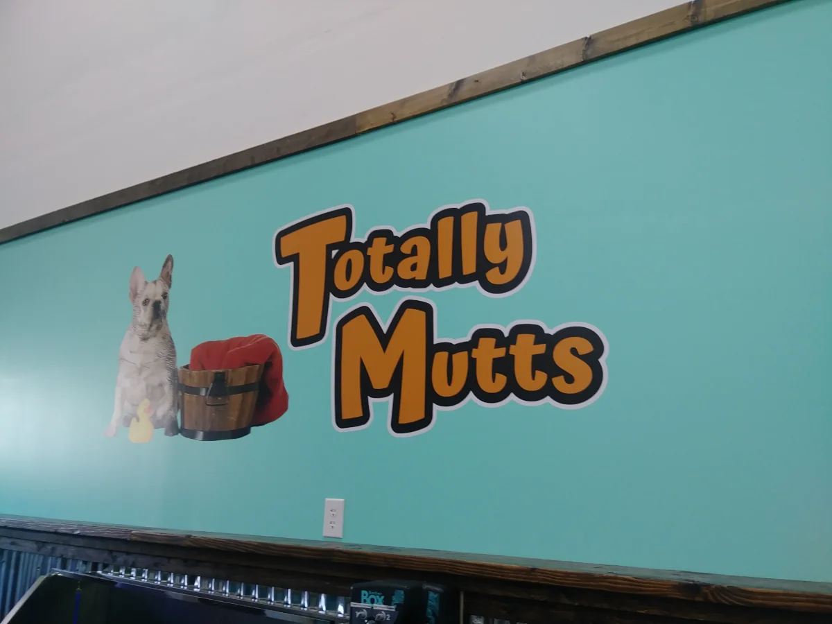 Totally Mutts Self-Service Dog Wash & Professional Grooming of Vancouver photo 8