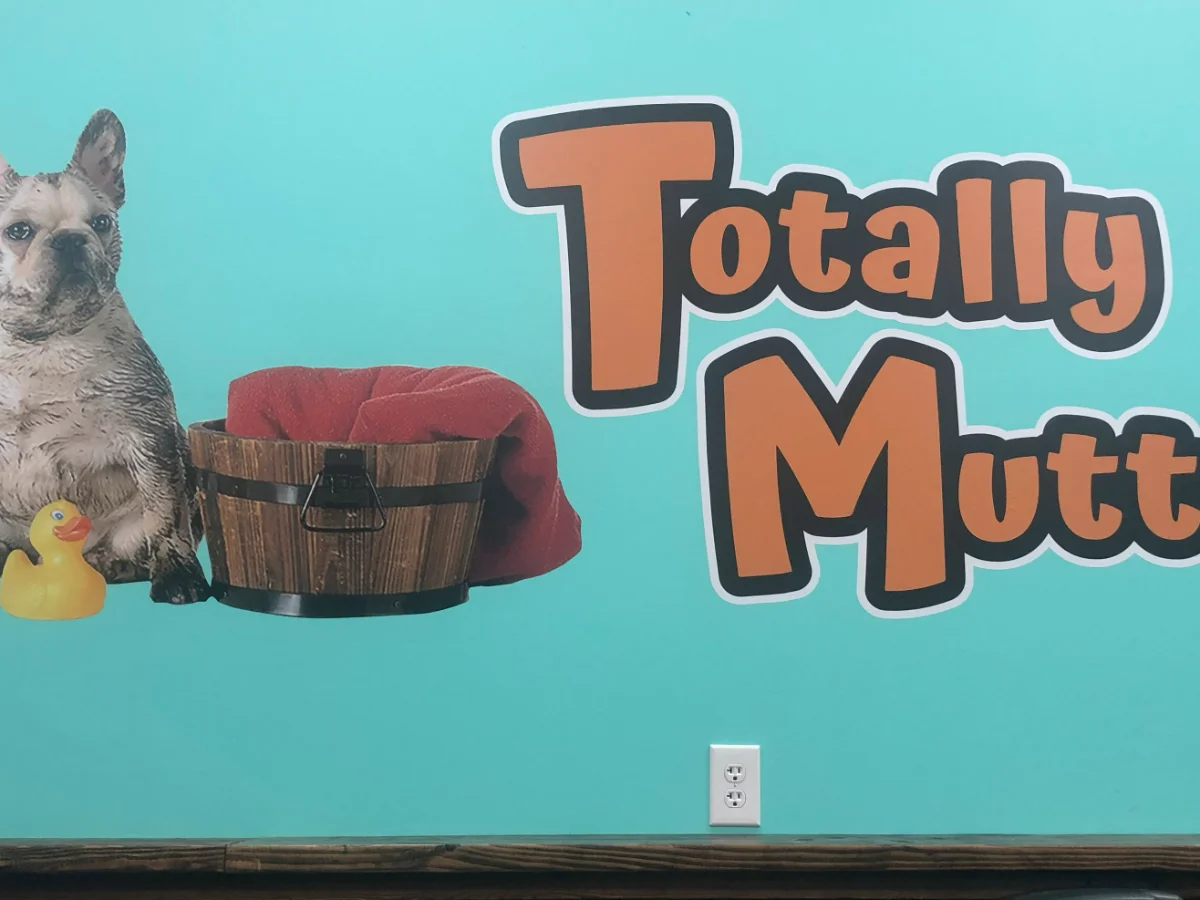 Totally Mutts Self-Service Dog Wash & Professional Grooming of Vancouver photo 16