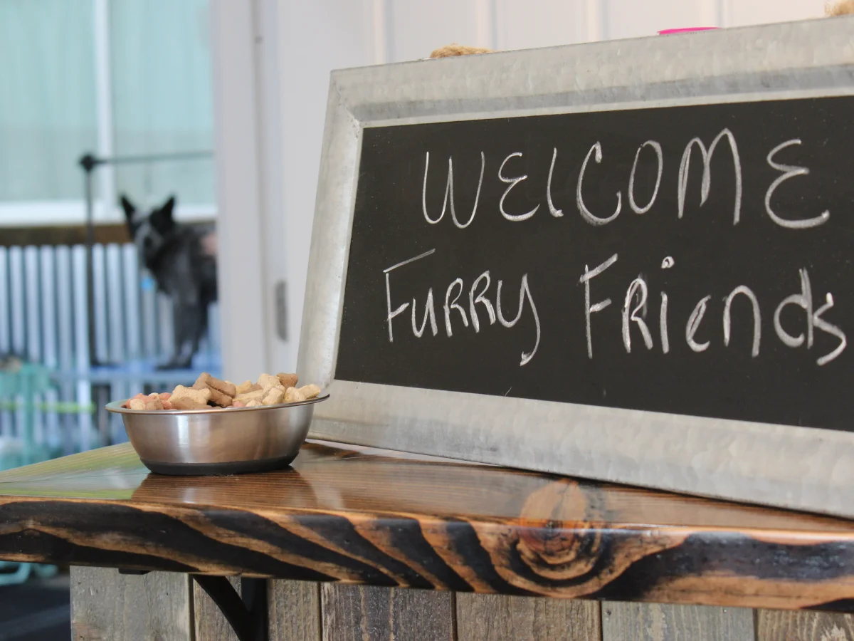 Totally Mutts Self-Service Dog Wash & Professional Grooming of Vancouver photo 18