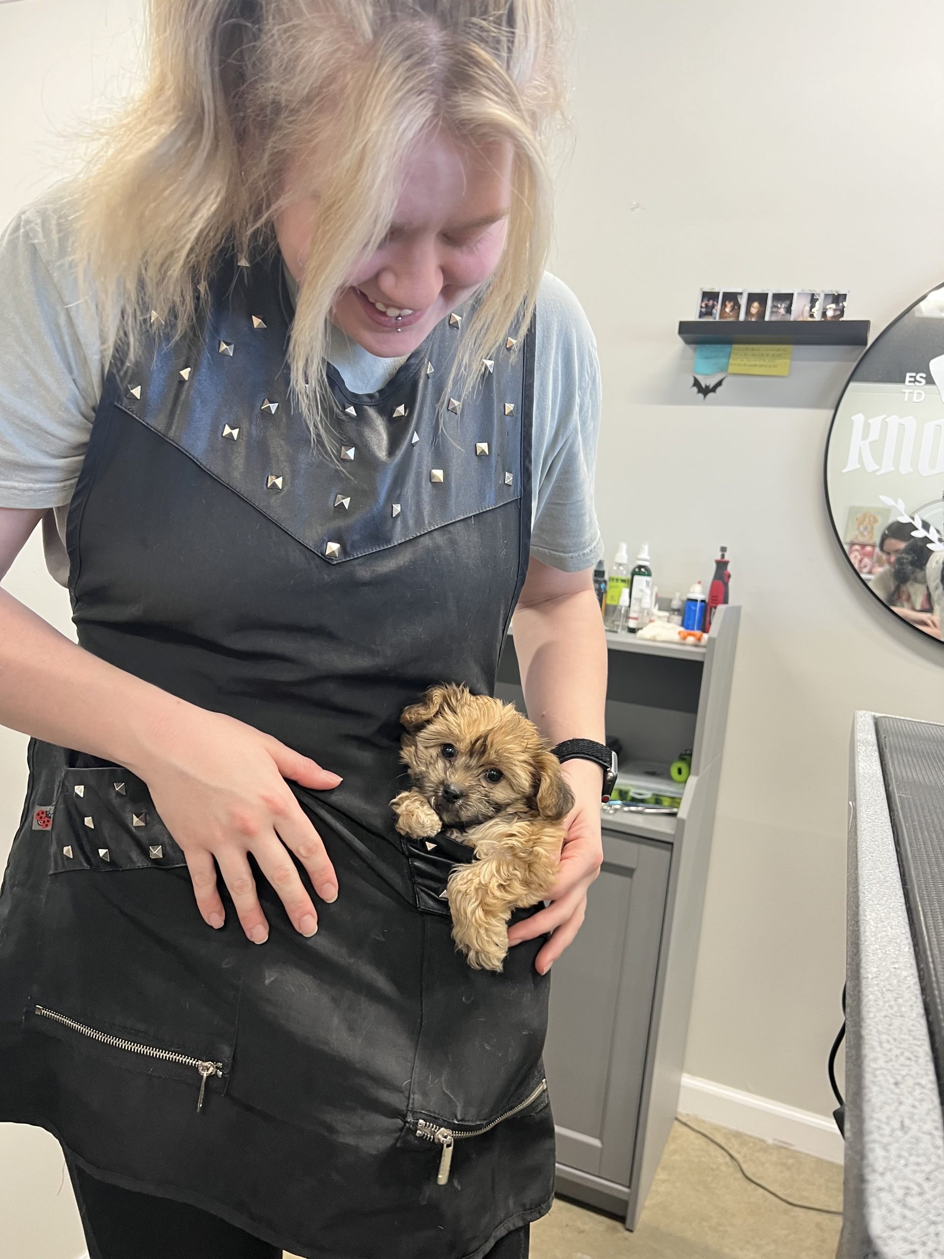 Sarah's Groomingdale's Pet Salon photo 25